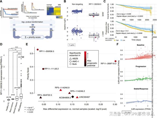 CRISPR篩選技術在多發(fā)性骨髓瘤治療靶點研究中的作用(圖3)